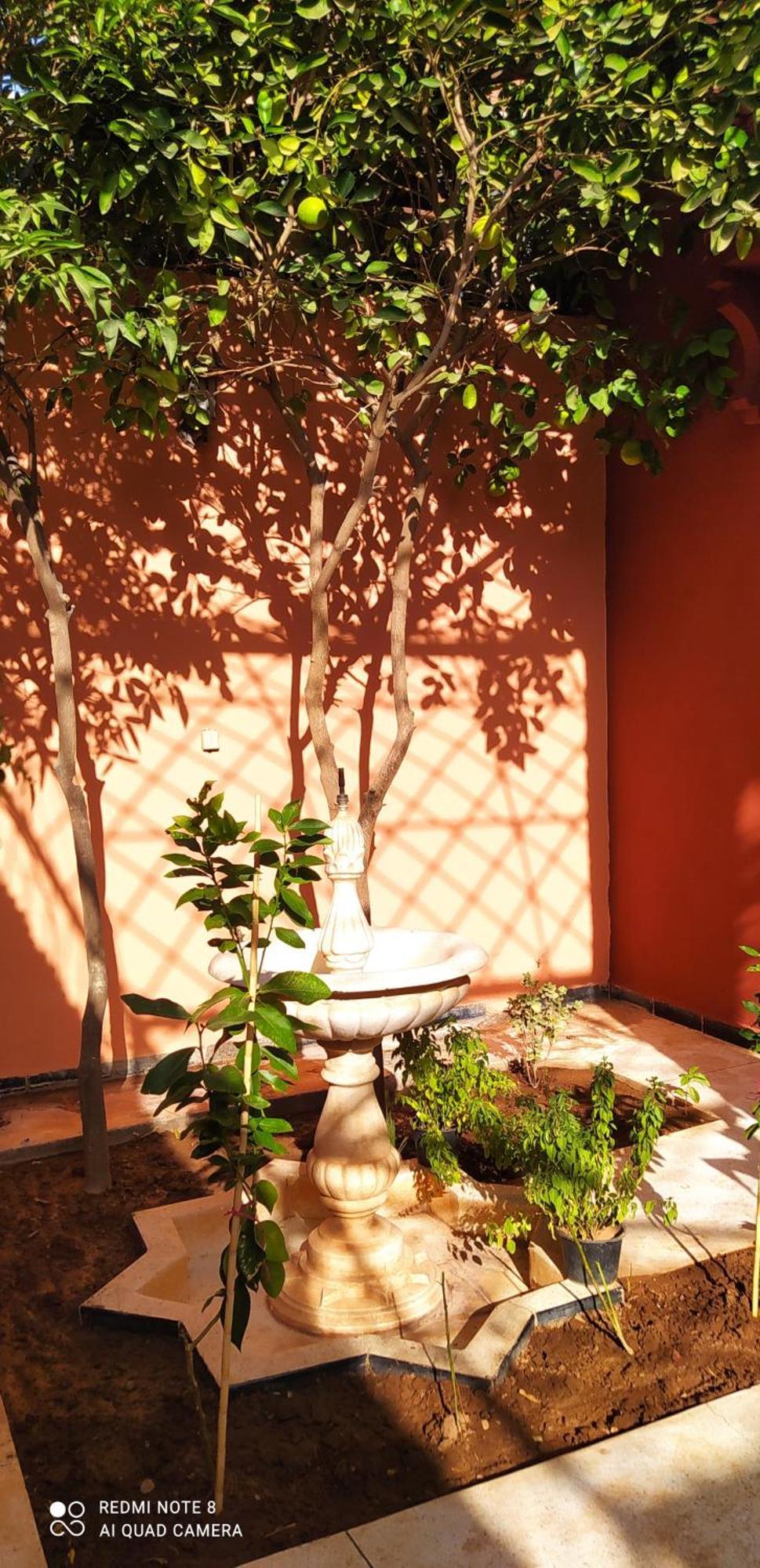 Affittacamere Le Petit Jardin Marrakech